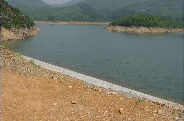 (2014)新洲镇三丫水库除险加固工程项目