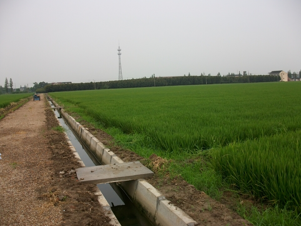 （2014）阳春市春湾镇2013年第二批高标准基本农田建设项目